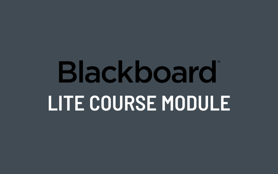 Intellectual Property Course Module for Blackboard (Lite)