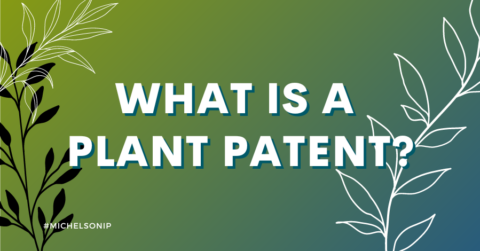 What Is A Plant Patent? - Michelson IP