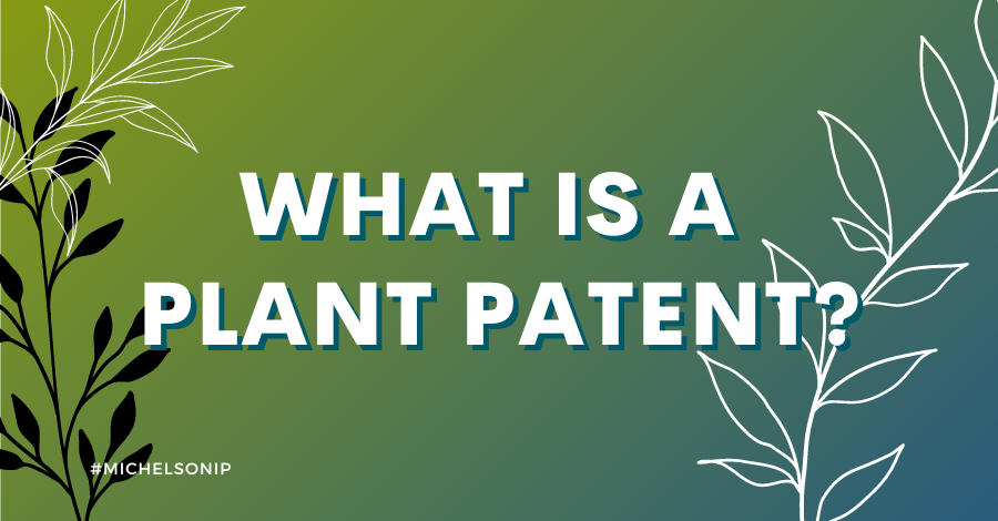 What is a plant patent?
